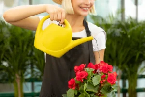Mulher regando flores